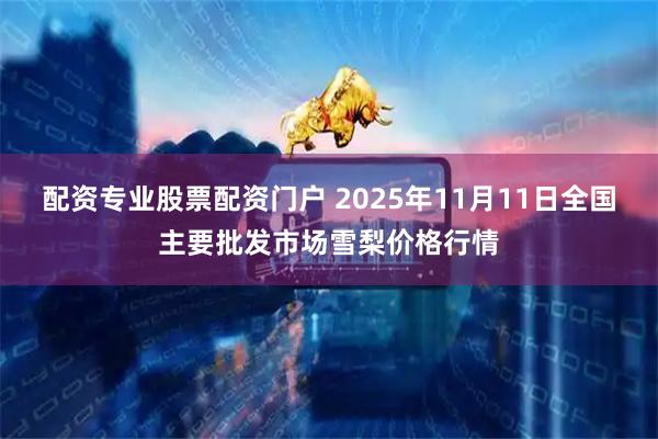 配资专业股票配资门户 2025年11月11日全国主要批发市场雪梨价格行情