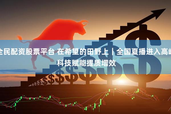 全民配资股票平台 在希望的田野上｜全国夏播进入高峰 科技赋能提质增效